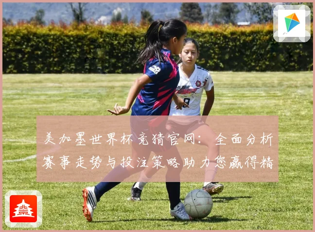 美加墨世界杯竞猜官网：全面分析赛事走势与投注策略助力您赢得精彩大奖