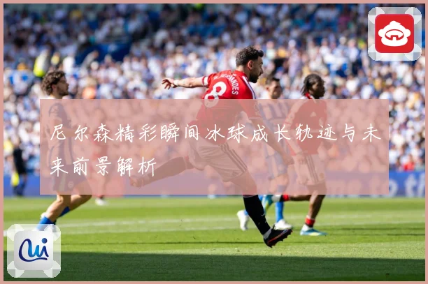 尼尔森精彩瞬间冰球成长轨迹与未来前景解析