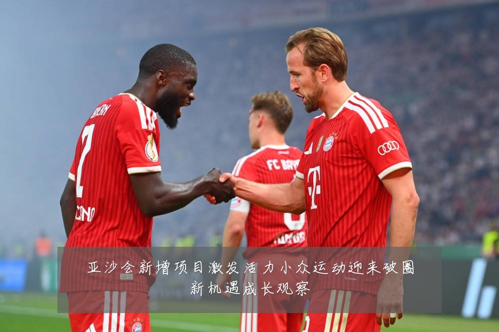 亚沙会新增项目激发活力小众运动迎来破圈新机遇成长观察