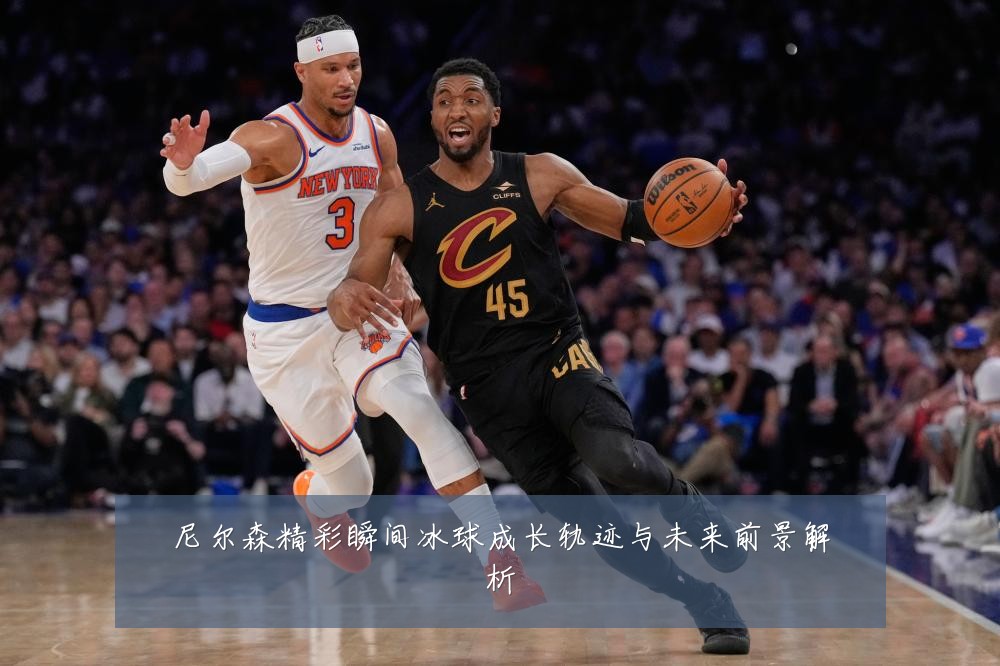 尼尔森精彩瞬间冰球成长轨迹与未来前景解析