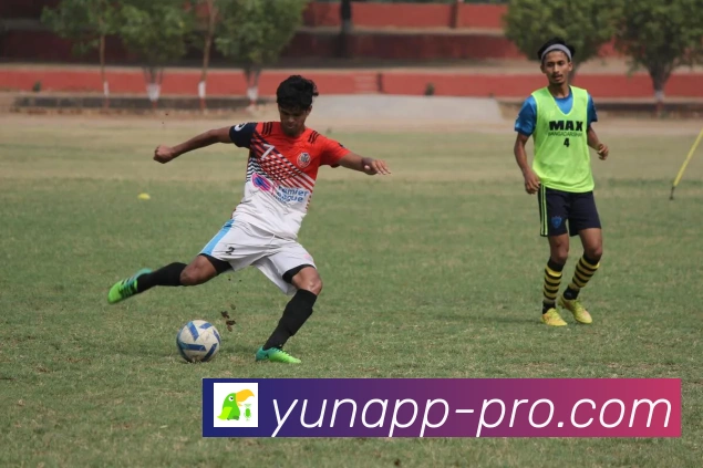 开云平台展示图